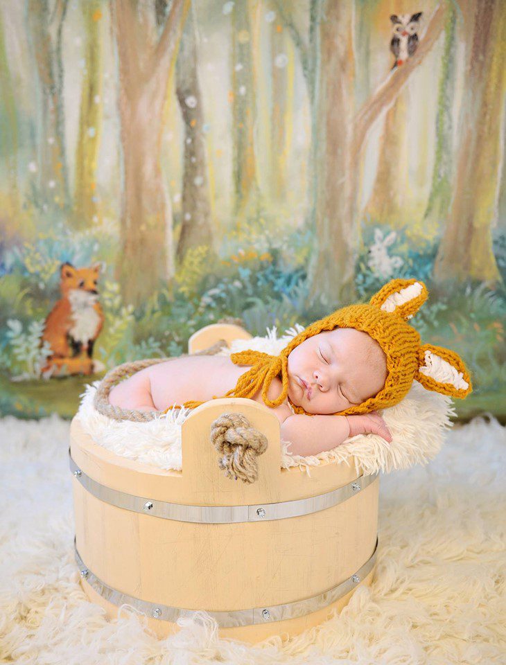 Newborn Portraits with a variety of props and backgrounds