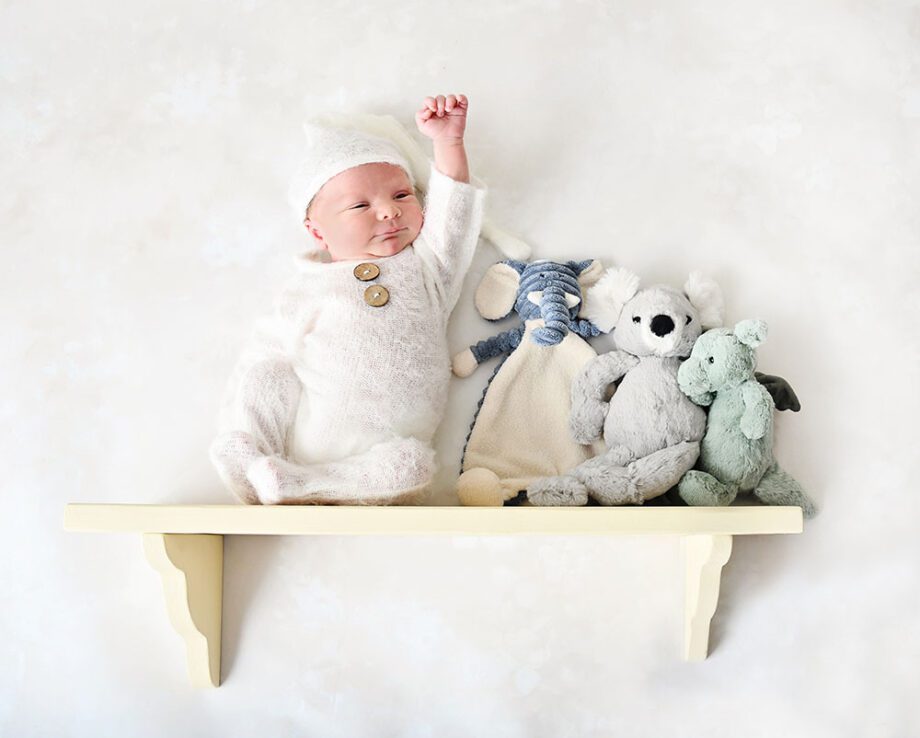 Baby with Teddies Portrait
